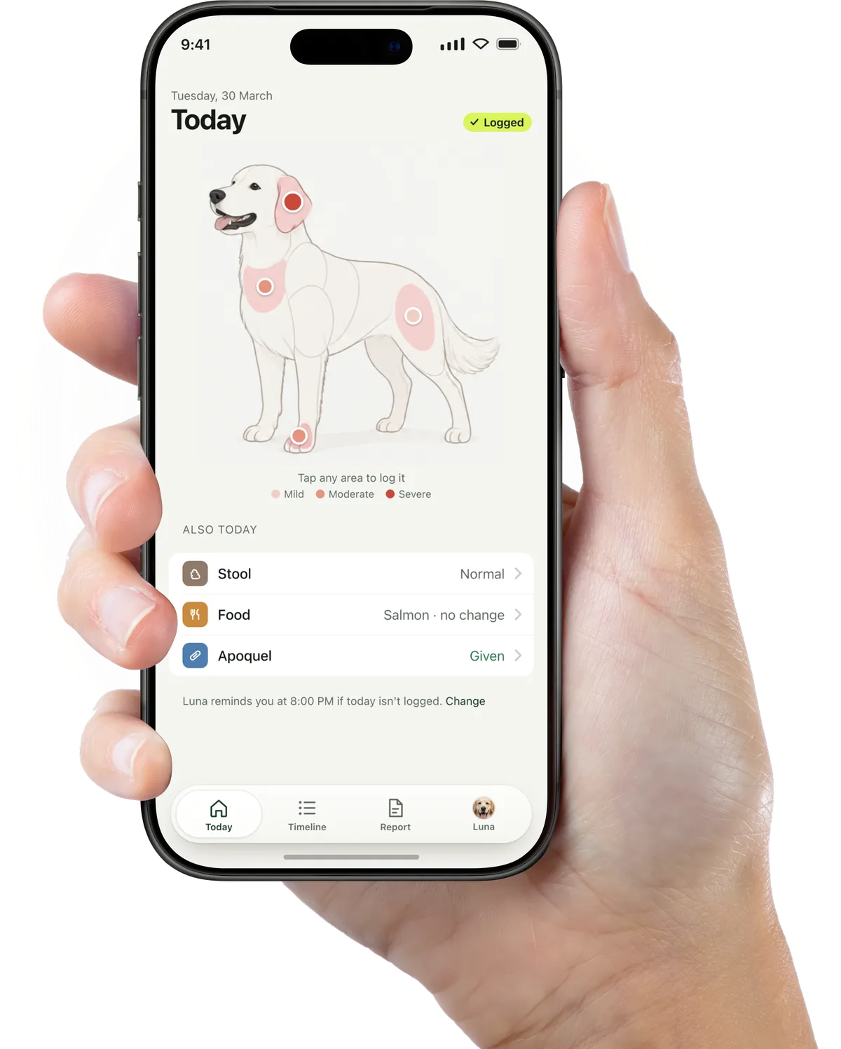 A hand holding a phone showing Dogtor's Today screen: a golden retriever drawing with four marked itchy spots